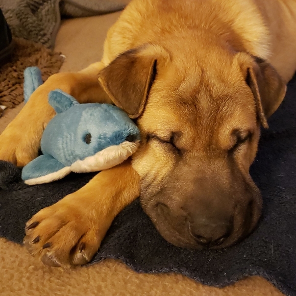 Welcome to my closet! - Picture 16 of 16